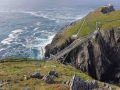 cork-mizen-head-kukabara