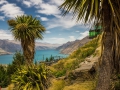 queenstown-zelen-kukabara