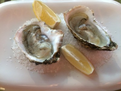 novy-zeland-oysters-kukabara